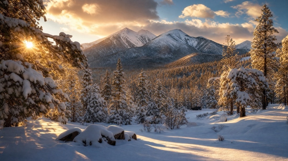 Flagstaff Day Trip from Phoenix: Mountain Escape Transportation
